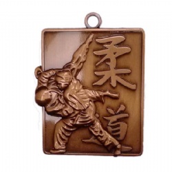 3D Judo Medal