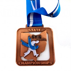 Judo Championships Medal